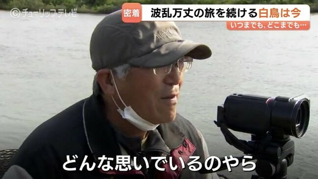 傷ついた白鳥と富山のカメラマン澤江弘一さん 消息絶った1年を乗り越え新潟・上越の河川での再会|TBS NEWS DIG