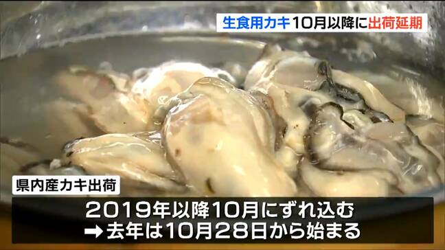 「海のミルク」に何が…宮城県産カキ出荷解禁 10月以降に延期 海水温上昇で成育遅れ|TBS NEWS DIG