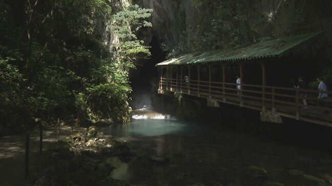 山口県内10日連続の猛暑日　天然のクーラー秋芳洞が人気　観光客がひとときの涼　山口・美祢|TBS NEWS DIG