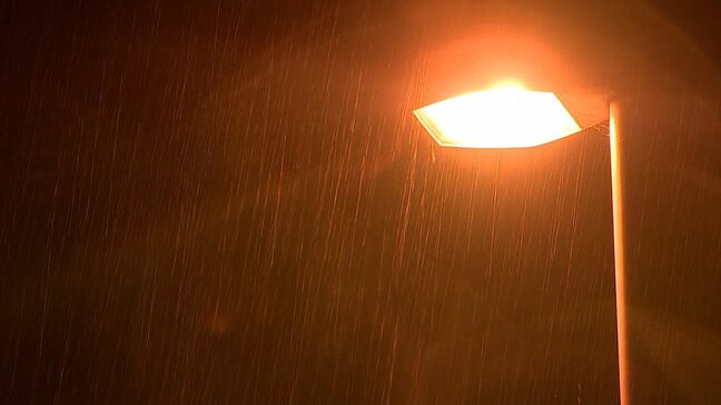 台風15号の接近通過で岡山・香川の交通機関などに影響 玉藻公園では松の木が倒れる被害も|TBS NEWS DIG