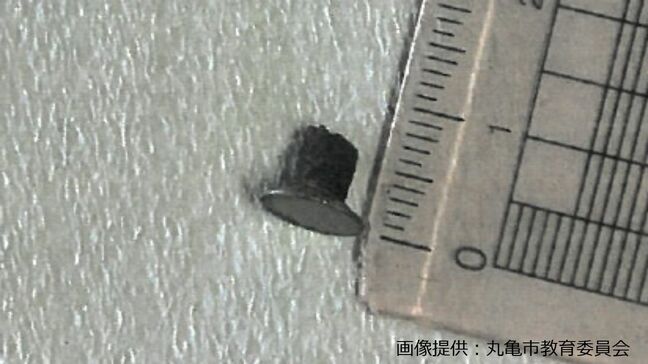 保育所の給食にビスが混入 4歳児が食べようとしたら “おひたし” の皿に けがなどはなし【香川・丸亀市】|TBS NEWS DIG