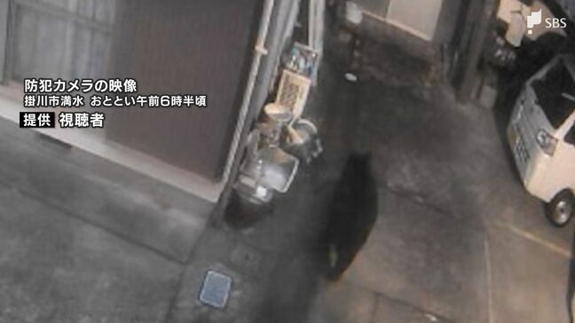 「他人事だと思っていた。本当に怖い」掛川でクマの姿を防犯カメラが捉える 菊川でも連日の痕跡 3日連続の"クマ情報"に警戒 ＝静岡|TBS NEWS DIG