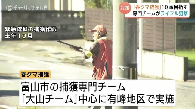 「春クマ」をライフル射撃で10頭捕獲へ…県が初の捕獲作戦　去年の出没は過去10年で最多1059件　富山|TBS NEWS DIG