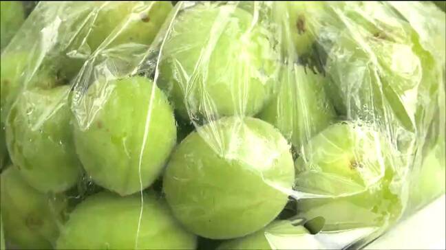 「ウメシロップに初挑戦します」恒例の“うめ～梅まつり”にぎわう　宮城・角田市|TBS NEWS DIG