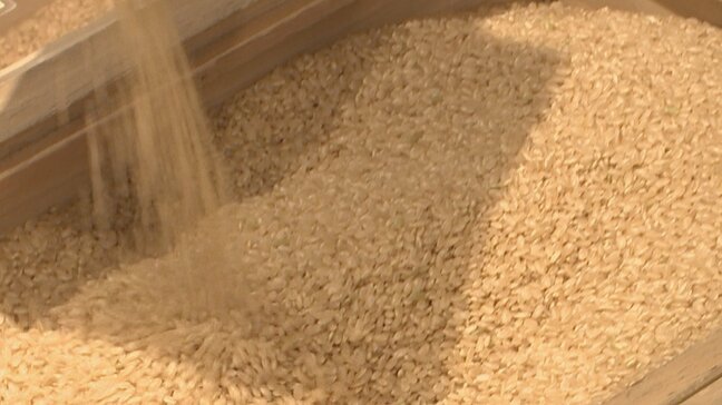 コメの流通価格の基準「概算金」最大4割程度上昇　全国的な“コメの品薄”が背景に|TBS NEWS DIG