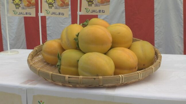 生産が去年の半分に落ち込む異常事態 平田の「西条柿」 春の低温と霜で芽が枯れ…大打撃 生産者の努力で出荷式迎える|TBS NEWS DIG