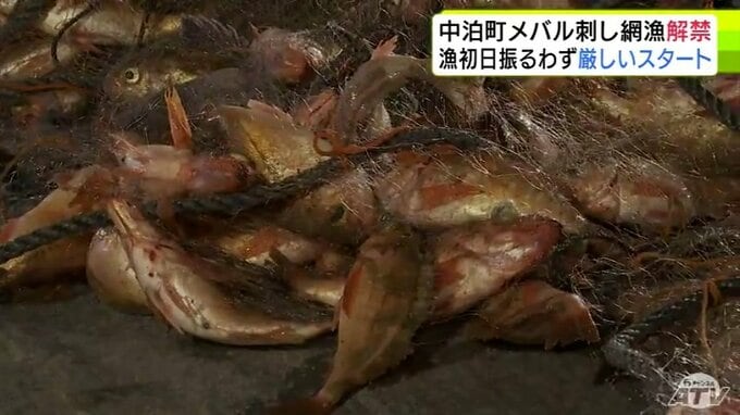 刺し網を使った「メバル漁」が青森県中泊町で解禁　初日はまとまった量の水揚げが期待されるも厳しいスタートに…「去年の半分くらいだと思う。魚の反応がない」|TBS NEWS DIG