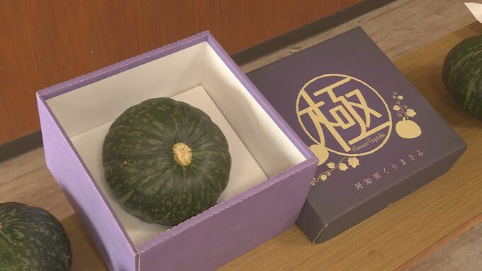 プレミアムカボチャも登場　冬至に向け「阿知須くりまさる」目合わせ会　山口県山口市|TBS NEWS DIG