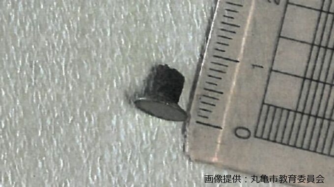 保育所の給食にビスが混入　4歳児が食べようとしたら “おひたし” の皿に　けがなどはなし【香川・丸亀市】|TBS NEWS DIG