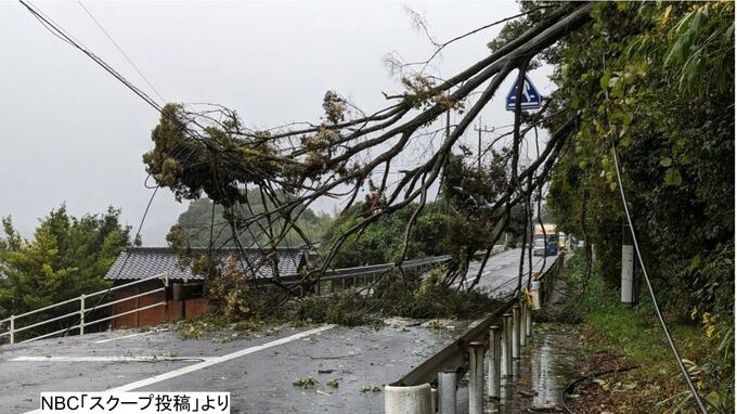 【全面解除】倒木でふさがれた国道206号、午後7時に規制解除　長崎市ー佐世保市結ぶ幹線道路　|　長崎のニュース | 天気 | NBC長崎放送