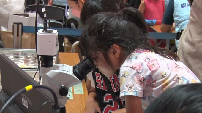 「サイエンステックフェス」　子どもたちが科学の面白さを体験　北中城村|TBS NEWS DIG