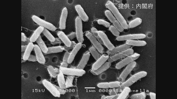 諏訪市内の老舗旅館でサルモネラ菌による食中毒　東京や愛知、埼玉などの宿泊客34グループ81人が症状を訴え　3人が入院　調理部門を3日間の営業停止に　患者は全員快方に向かう　長野　|　SBC NEWS | 長野のニュース | SBC信越放送