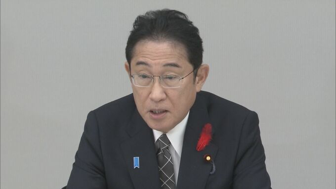 政府　認知症の治療研究、検査・医療提供体制の整備など経済対策に反映へ