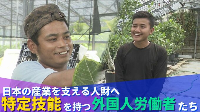 日本を支える”人財”に　高い日本語力と技能（特定技能）を備えた外国人労働者とはー|TBS NEWS DIG