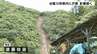 「50年間でこんなの初めて見た」高知・津野町の山林で大規模な土砂崩れ 台風10号高知県から次第に遠ざかるも爪痕・影響残る　|　高知のニュース・天気｜KUTV NEWS | KUTVテレビ高知