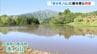 田んぼの水面に映る『逆さ氷ノ山』見られるのは今の時期だけ「本当に美しくて毎日写真を撮りに」　兵庫・養父市　|　MBSニュース | 関西の最新ニュースを分かりやすく。