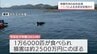串間市沖の志布志湾でイルカの食害深刻…　泡で驚かせ網から引き抜く巧妙手口　2500万円損害も　|　MRTニュース ｜ ＭＲＴ宮崎放送