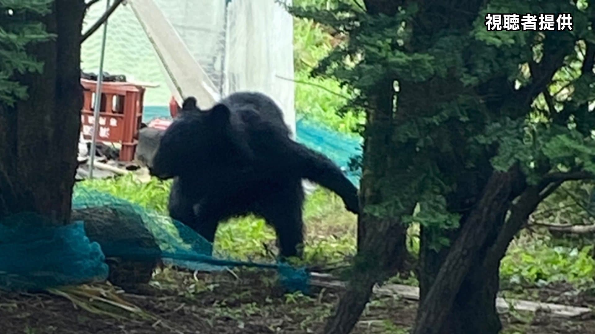 img_2b2d747f76fc9902136306103d