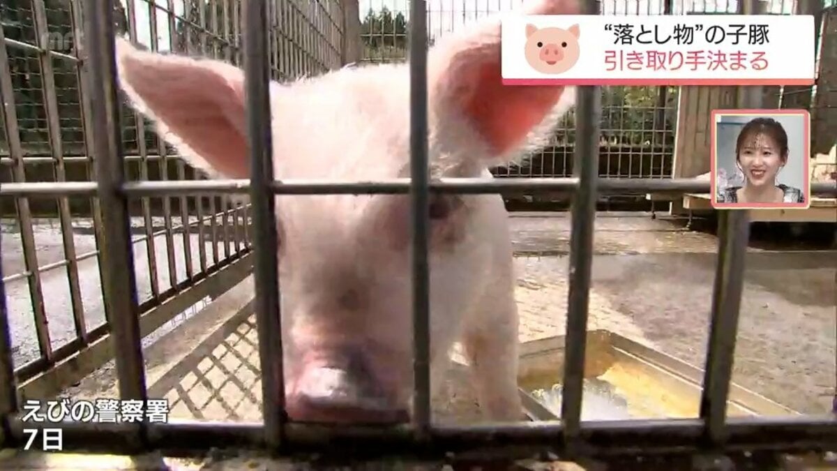 えびの警察署で保護 