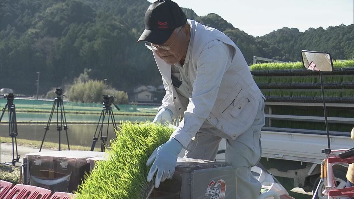 早くも田植え始まる 三重･紀宝町の｢早場米｣  刈り取りは7月下旬 “お盆前の新米”として人気 温暖な気候を利用