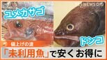物価高のなか「くら寿司」が500円の海鮮丼を据え置き！カギは“もったいない”を象徴した未利用魚|TBS NEWS DIG