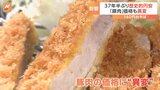 円安で“豚肉高騰” 日本の実質実効為替レートは過去最低　37年半ぶり歴史的円安“円の実力”落ち“買い負け”|TBS NEWS DIG
