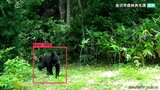 「ＡＩカメラ」がクマ探知 形や動きから識別 金沢市　|　石川県のニュース｜MRO北陸放送