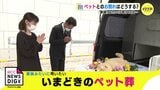 「家族みたいに弔いたい…」いまどきのペット葬 最後をどう見送る? コロナ禍でペット飼う人増|TBS NEWS DIG