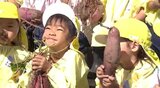 「大きいお芋とれたよー」11月の焼きいも会が楽しみ、幼稚園児が自分たちで苗を植えた秋の実りを収穫|TBS NEWS DIG