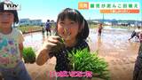 青空のもと 園児が泥だらけで笑顔 初挑戦の田植えは「ブニッてしておもしろかった」　|　山形のニュース│TUYテレビユー山形