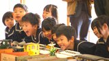 寺の本堂を50両の鉄道模型が走る 人気キャラクターを見つけた園児180人が歓声 大分 | 大分のニュース|OBS NEWS|大分放送