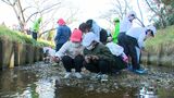 「みんなの前できれいに飛んでほしい」児童がホタルの幼虫を川に放流 学校で餌を与えて育てる=静岡・掛川市　|　静岡のニュース | SBSNEWS | 静岡放送