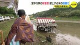秋の宮中行事「新嘗祭」 広島県から献上する米の田植え　|　RCC NEWS | 広島ニュース | RCC中国放送