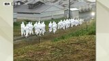 洋野町で豚熱確認 1万7500頭殺処分について作業終了見通せず 岩手|TBS NEWS DIG