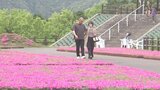 空の展望所のシバザクラ満開 旬のシラスメニューも人気「春の海鮮フェア」開催 大分・佐伯市 | 大分のニュース|OBS NEWS|大分放送