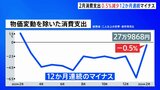 【速報】今年2月の消費支出0.5%減少 物価高で12か月連続のマイナス|TBS NEWS DIG
