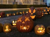 キャンパスに約300個の“かぼちゃランタン”学生手作り、仮装も楽しむ | 福島のニュース│TUF