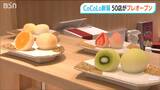 リニューアル続く新潟駅ビル「見ていてすごくワクワク」「常に新しい発見がある施設に…」CoCoLo新潟『EAST SIDE』は27日にオープン|TBS NEWS DIG