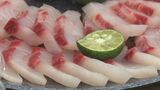 白身魚の刺身にベストマッチ　やんばるの夏の味覚　青切りシークヮーサーの出荷が始まる　沖縄　|TBS NEWS DIG