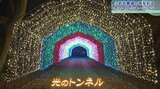 「流星ストリート」に「光のトンネル」 小岩井農場で恒例のウインターイルミネーション 岩手・雫石町|TBS NEWS DIG