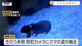 南陽市の職員を襲ったクマは今も捕獲されず　県内各地ではクマの目撃が続く（山形）|TBS NEWS DIG