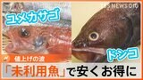 物価高のなか「くら寿司」が500円の海鮮丼を据え置き!カギは“もったいない”を象徴した未利用魚|TBS NEWS DIG