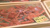 能登牛カルビ丼はじめ石川グルメ&伝統工芸品がズラリ 氷見市で復興支援イベントにぎわう|TBS NEWS DIG