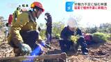 深刻な労働力不足に悩む林業に農業法人から助っ人、両者がタッグを組んで植林作業、冬場の雇用継続に悩む農業法人と“相思相愛"のマッチング|TBS NEWS DIG