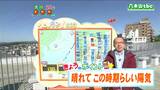 「県内は3日連続の晴天で最高気温は20℃前後、紫外線対策は万全に」宮城の30秒天気 tbc気象台 11日|TBS NEWS DIG