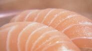 中東情勢悪化でサーモン2割値上げに「大惨事」　輸入サーモンが高騰　寿司店も悲鳴　救世主は“国産”サーモンか　富山　|　富山のニュース｜天気・防災｜チューリップテレビ