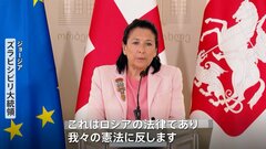 ジョージア“スパイ法案”に大統領が拒否権　与党成立目指す構え崩さず緊張高まる| TBS CROSS DIG with Bloomberg