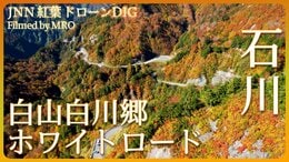 白山白川郷ホワイトロードの紅葉【JNN 紅葉ドローンDIG】|TBS NEWS DIG