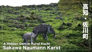 【空から見る高知】山の中の隠れた秘境 佐川ナウマンカルスト A Hidden Gem in the Mountains Sakawa Naumann Karst | 高知のニュース・天気|KUTV NEWS | KUTVテレビ高知