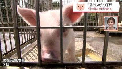 えびの警察署で保護 